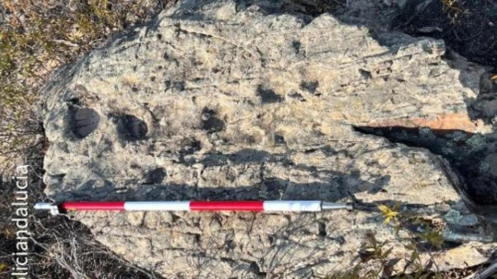 Bloque de cuarcito con 15 grabados rupestres hallado en Huelva