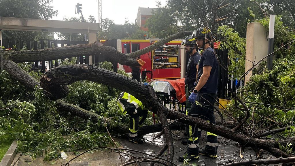 Herida grave una mujer al caerle encima un árbol en Madrid que se ha desplomado durante una tormenta