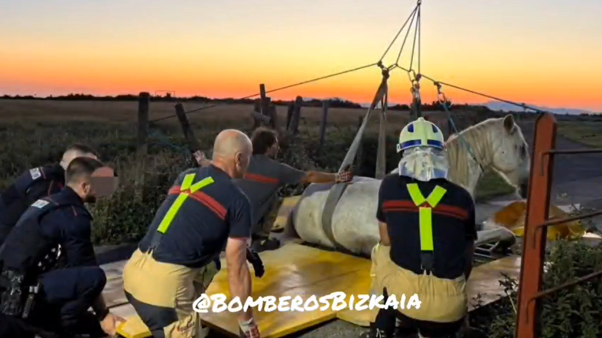 Un momento del complejo rescate del caballo las últimas horas, en Vizcaya