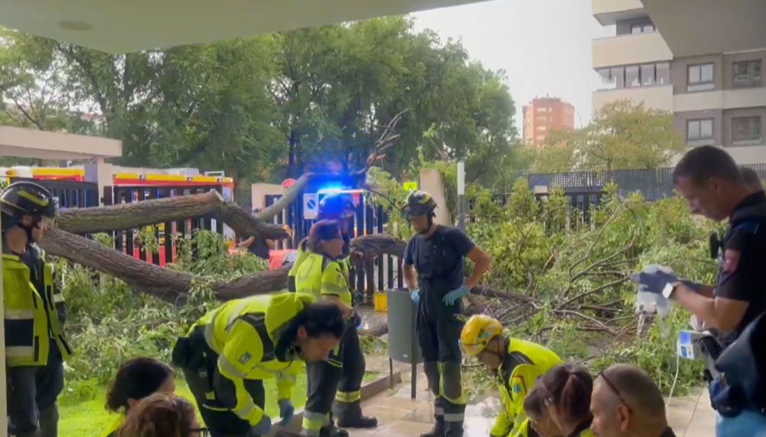 Una mujer resulta herida grave tras caerle un árbol encima por las tormentas en Madrid
