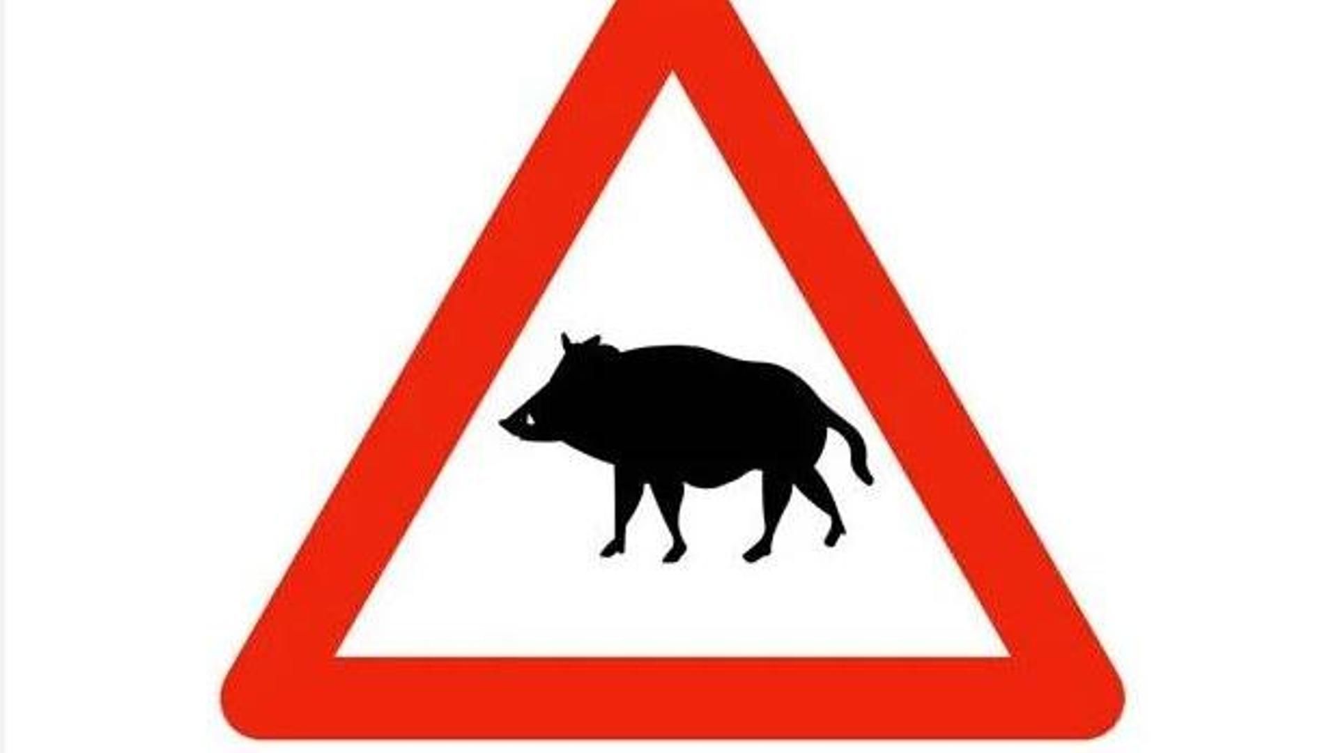 Señal del jabalí