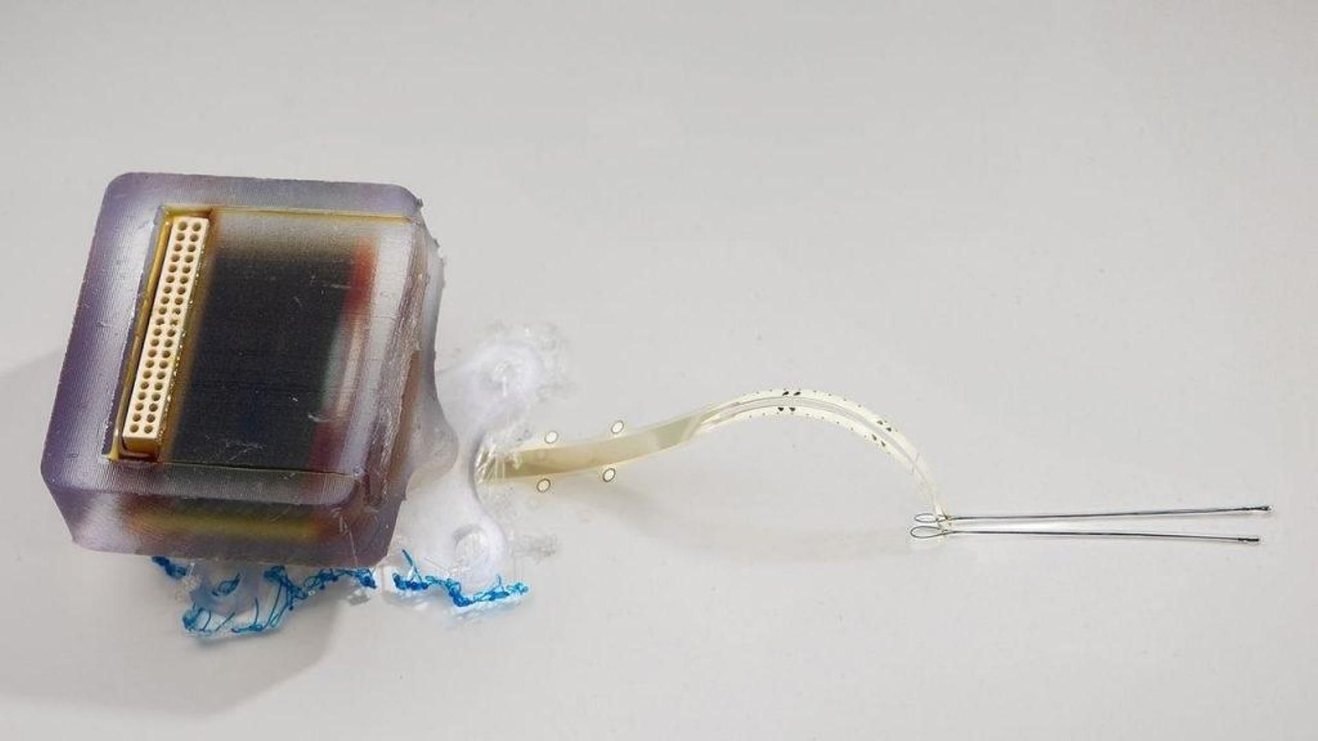Un innovador implante eléctrico mejora la recuperación tras lesiones medulares en animales