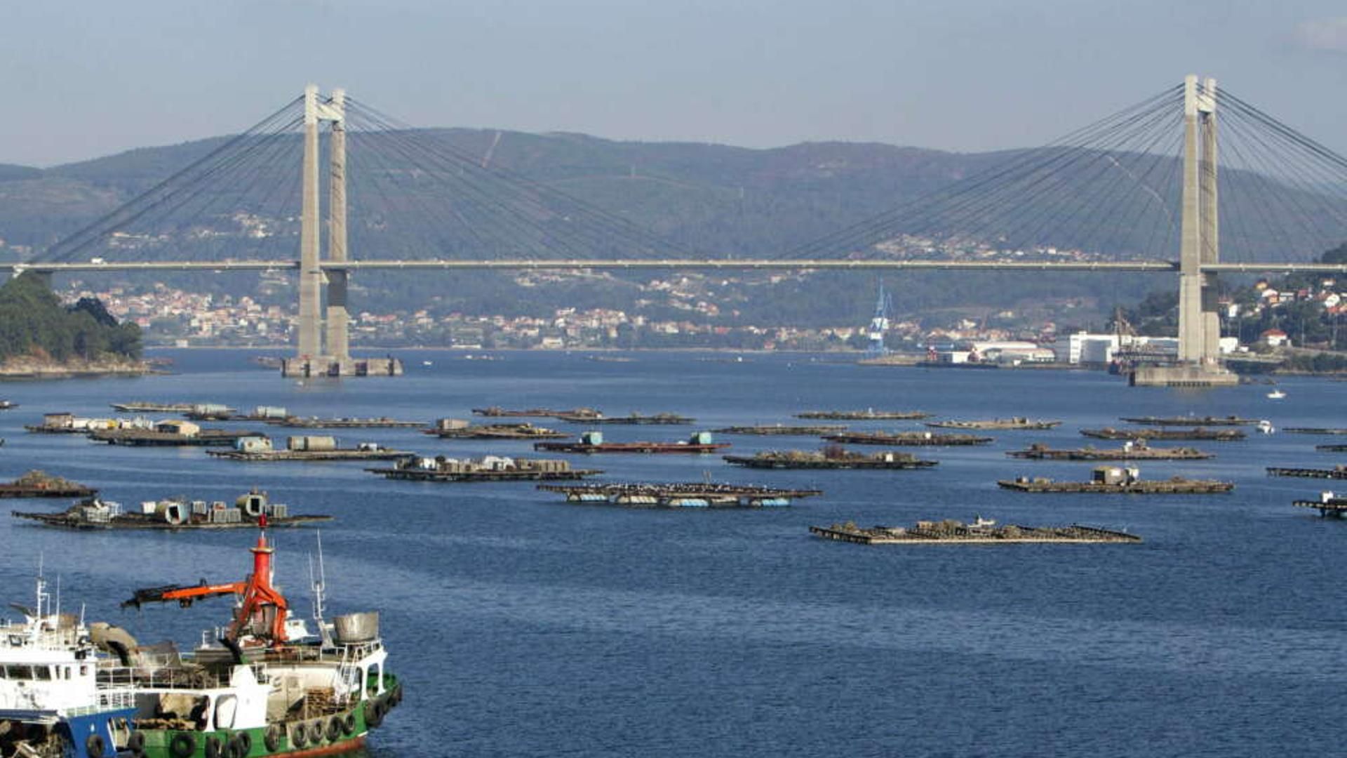 Vigo, la ciudad más educada