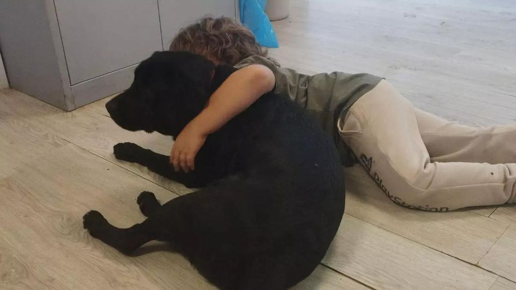 Axl y ‘Fresita’, durante las pruebas de compatibilidad celebradas en Madrid