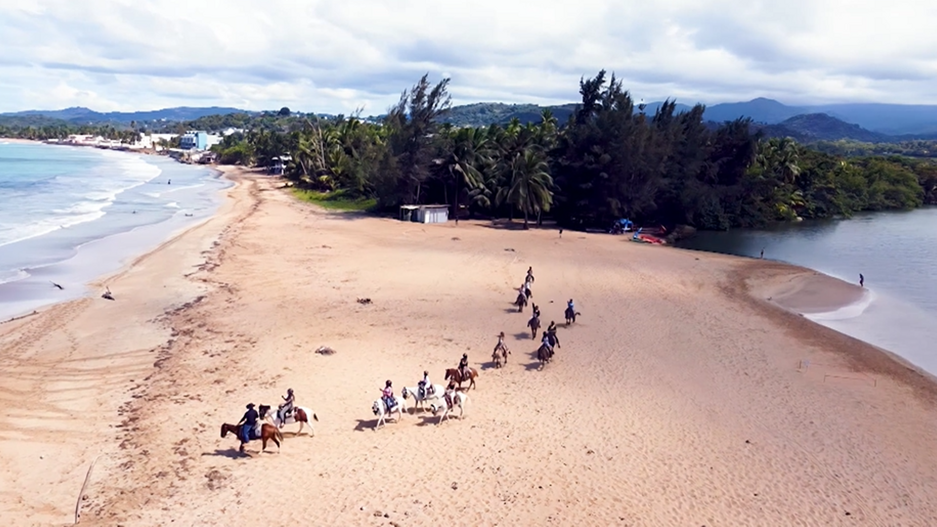 Caballos en Puerto Rico