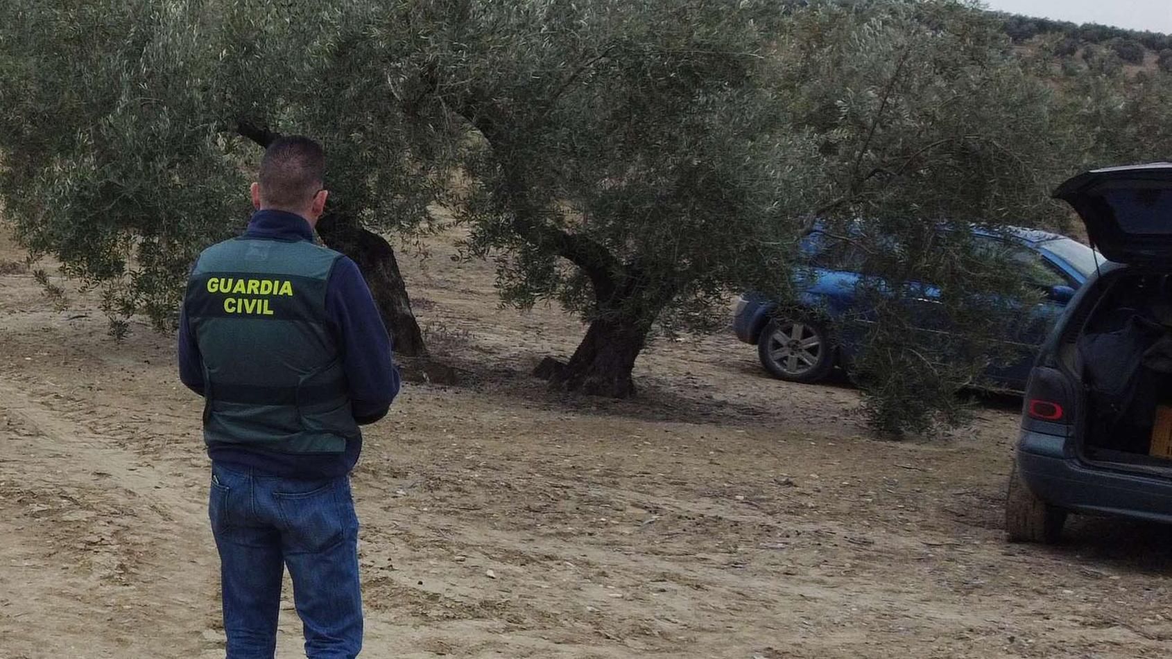 Encuentran el cadáver de un hombre en estado de descomposición en una finca de Huesca: descartan que sea un temporero