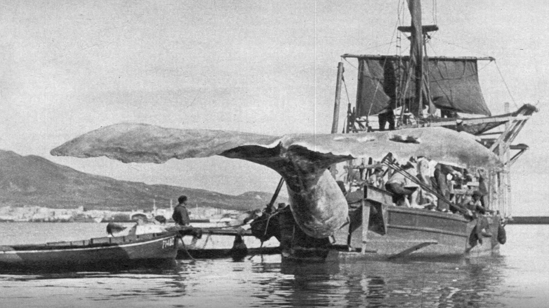La ballena más famosa de Hollywood fue canaria: se cumplen 70 años del rodaje de Moby Dick en Las Palmas