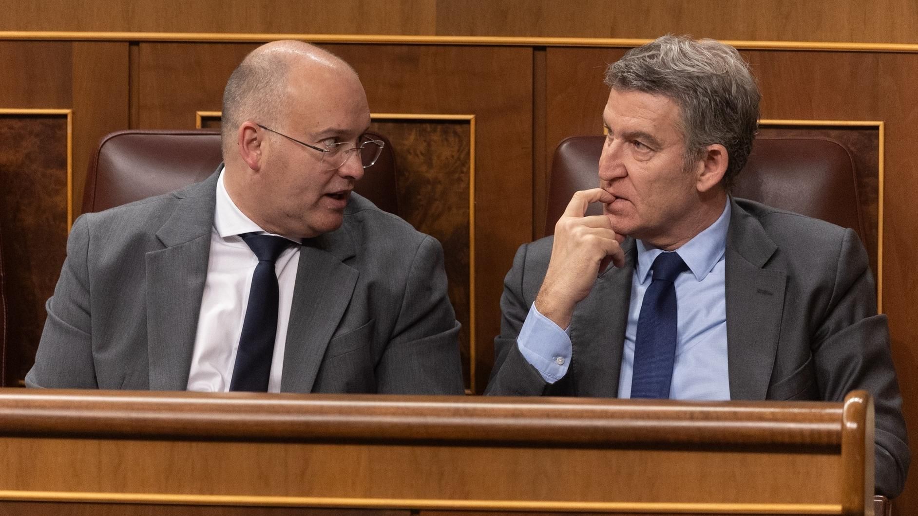 El portavoz del PP en el Congreso, Miguel Tellado y el presidente del PP, Alberto Núñez Feijóo