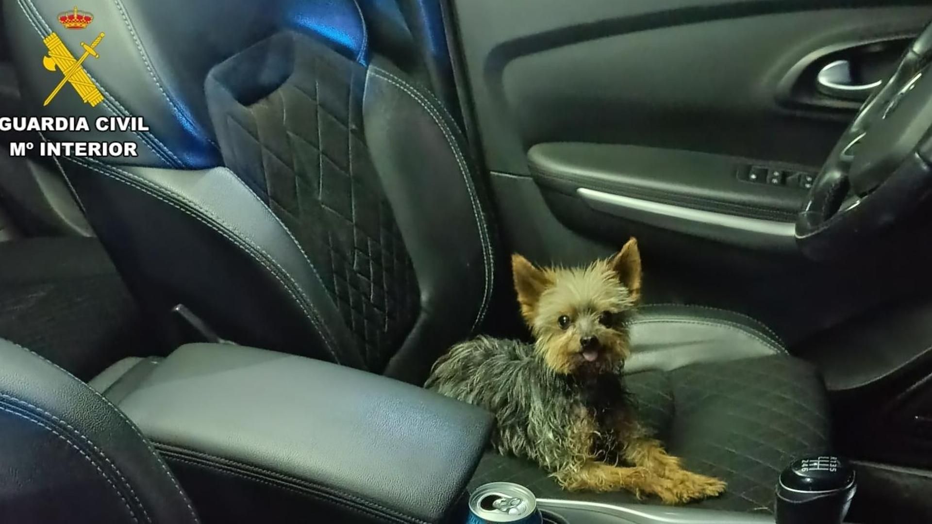 Encuentran en un camino rural de Zaragoza a un hombre malherido en un talud tras los ladridos de su perro