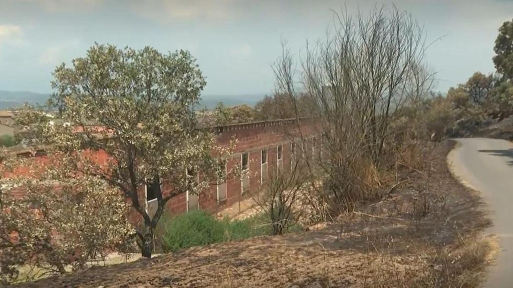 Se refugia en su granja con sus animales y sobrevive al fuego que arrasó 6.000 hectáreas en Lleida