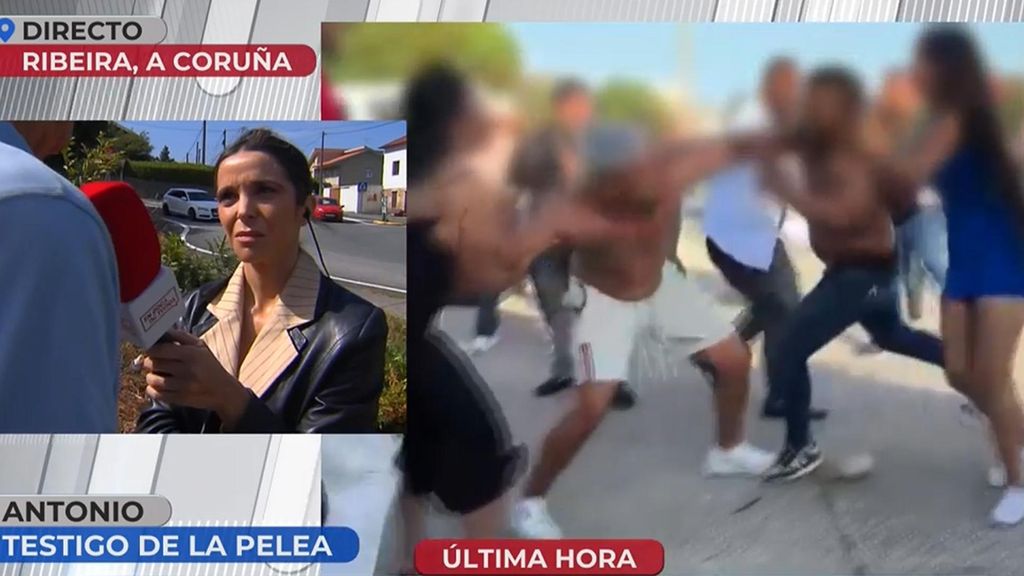 Testigo pelea