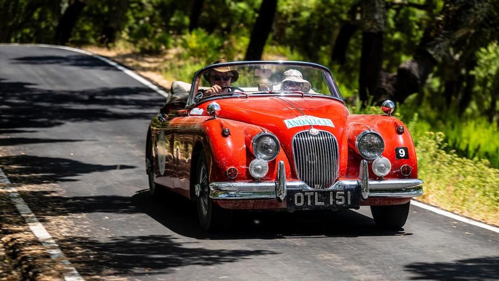 Coche del Rally the globe