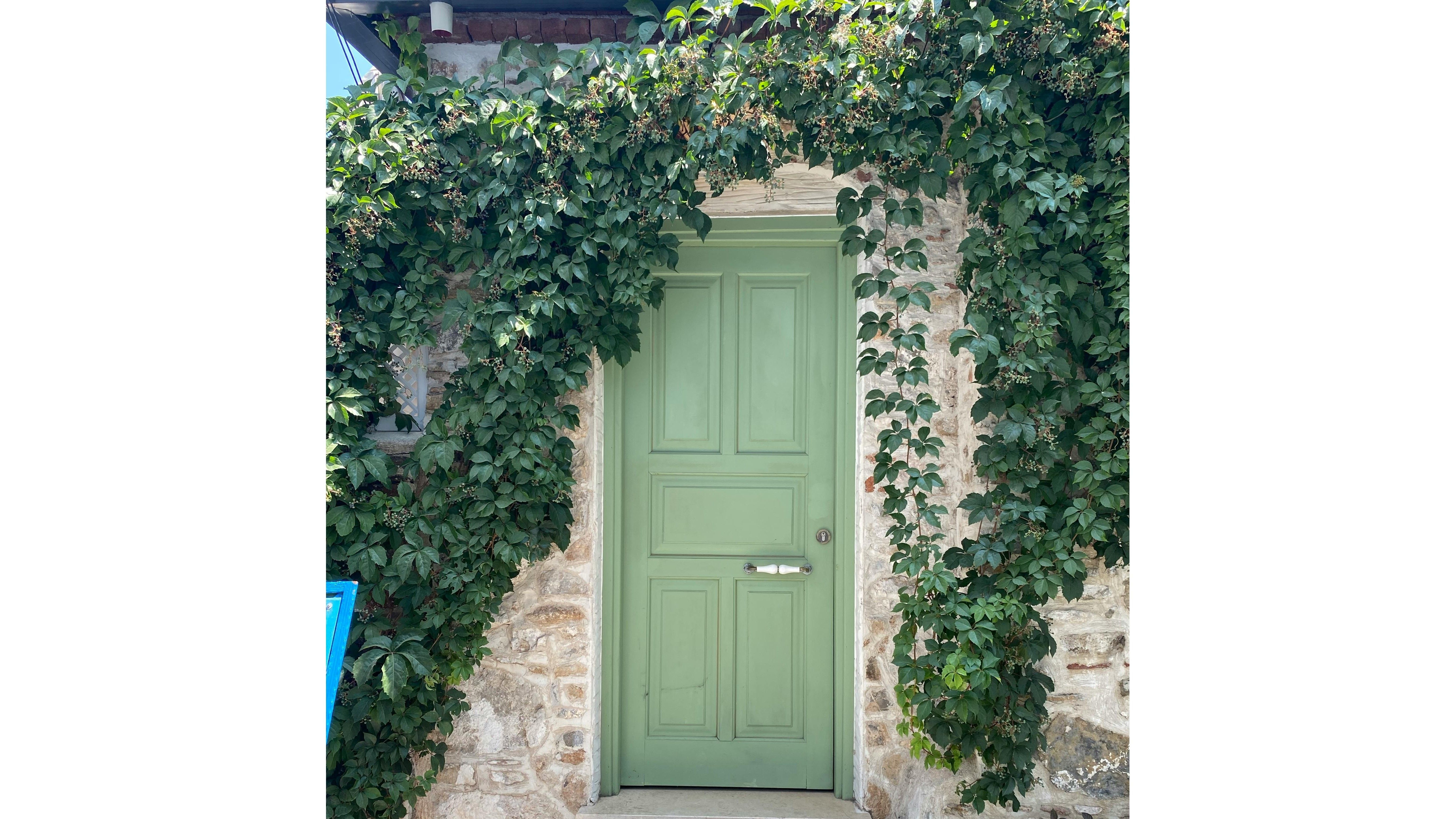 El color verde es para la orientación este o sureste. FUENTE: Pexels