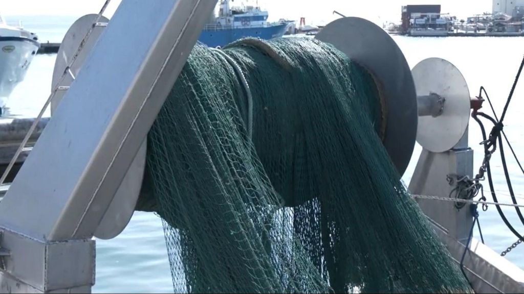 El Mediterráneo marca temperaturas récord y causa problemas a los pescadores: necesitan "más hielo" para mantener fresco el producto