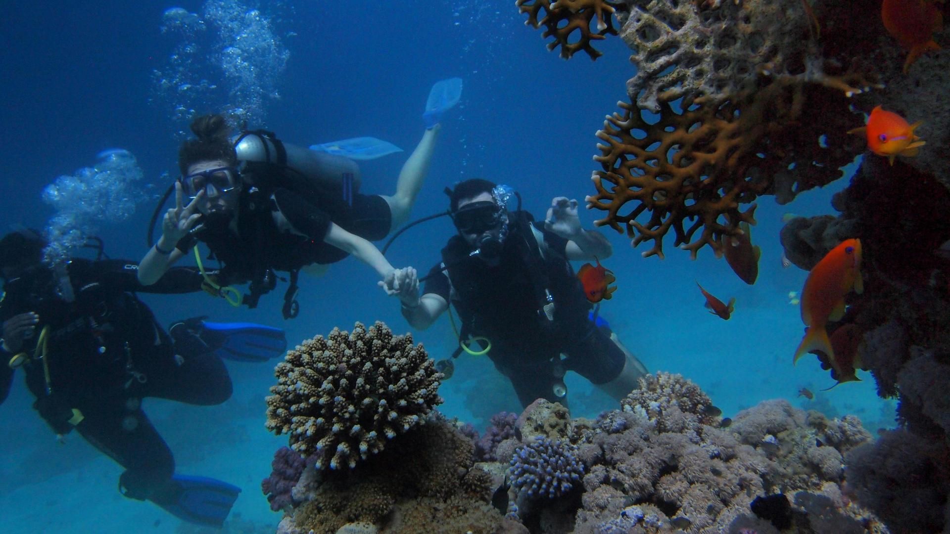 Imagen de archivo de una experiencia de buceo