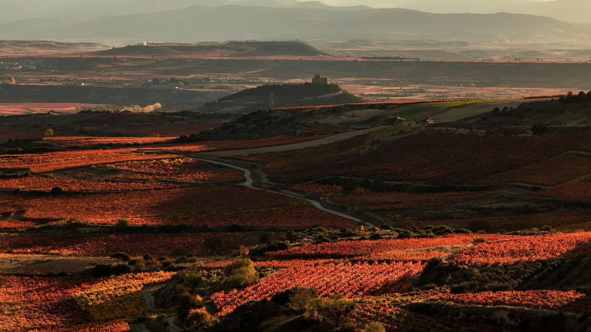 La Denominación de origen Rioja es cuna de algunas de las grandes sagas familiares del vino en España.