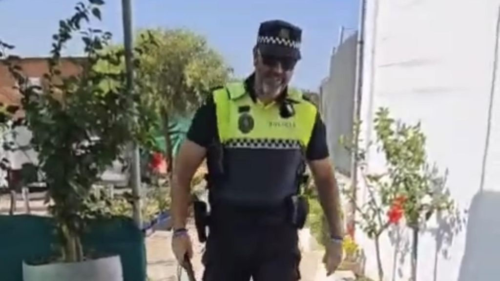 Un agente de la Policía Local conduce al cerdo vietnamita hasta su propietario