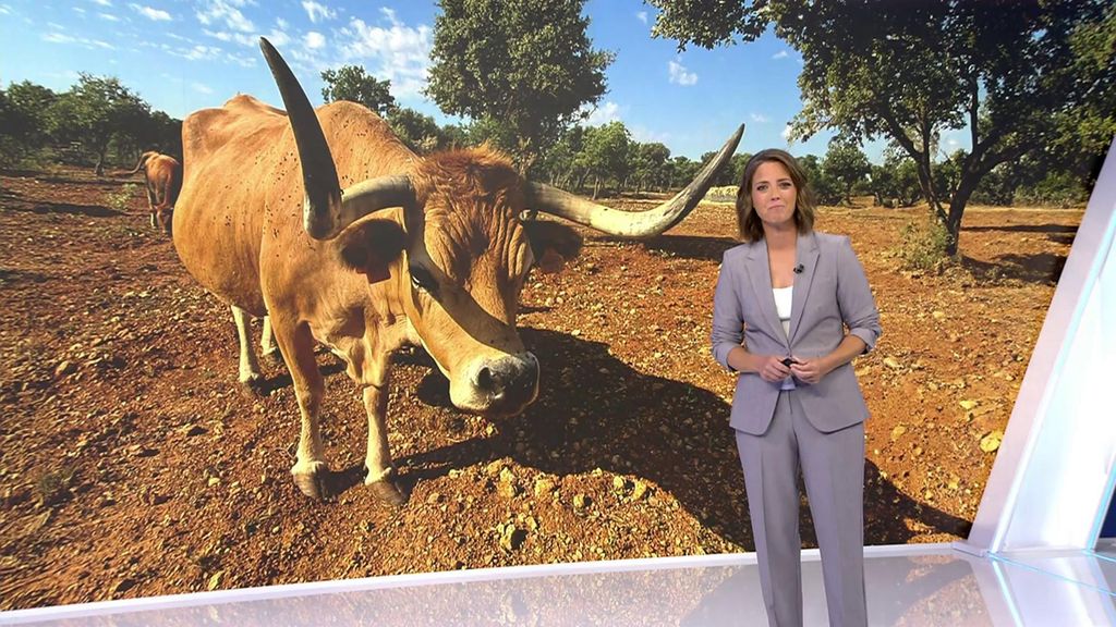 Con María Casado Informativos Telecinco 2025 Mediodía 05/07/2025