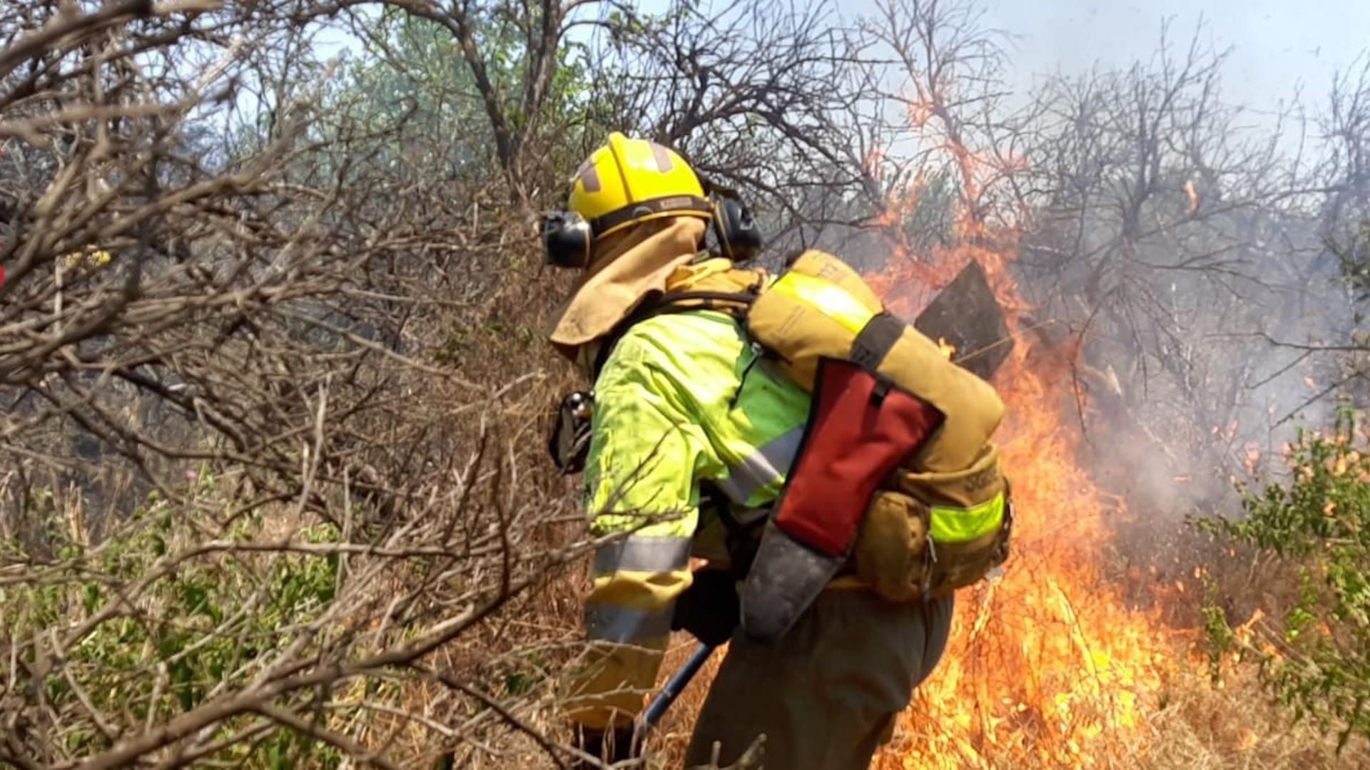 Bombero combatiendo un fuego en una zona de matorrales