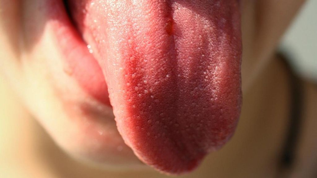 Lengua