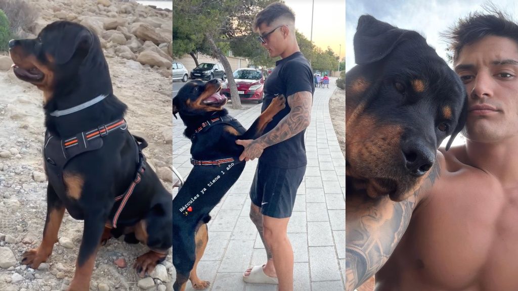 Mangel junto a su perro, Hércules