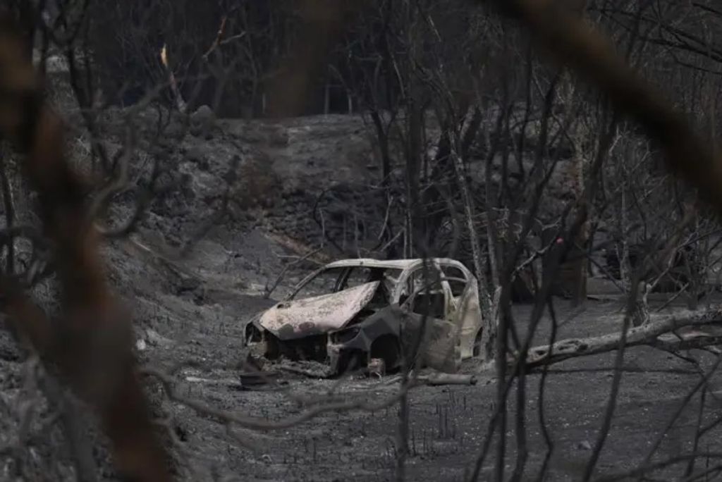 Estado en el que quedó una zona de Paül arrasada por el incendio de Tarragona.