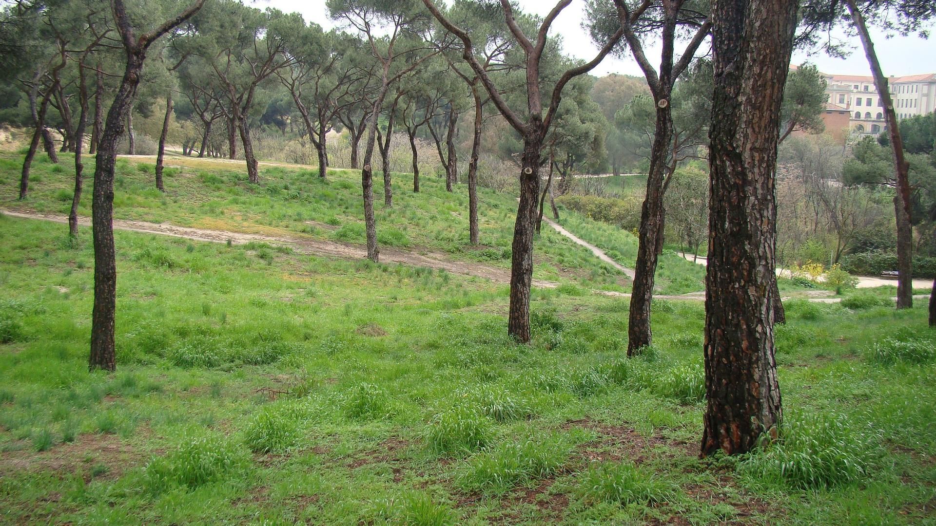 Parque de la Dehesa de la Villa
