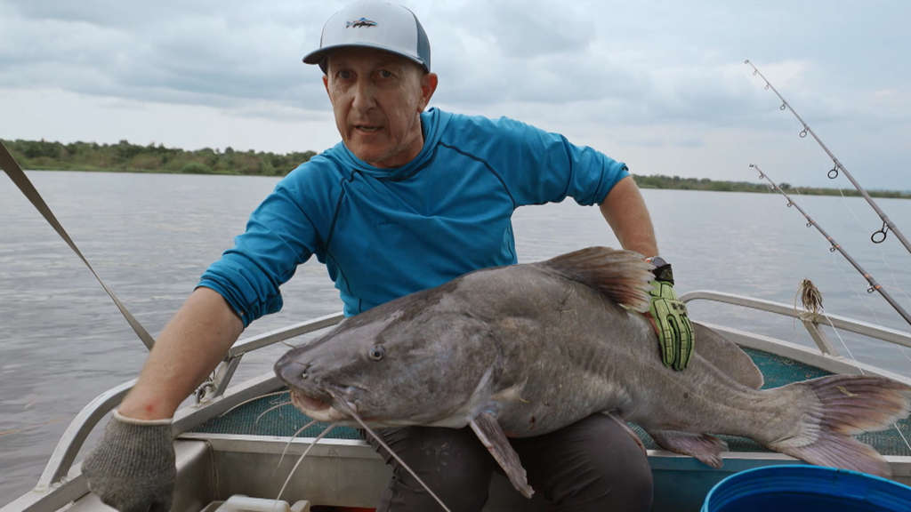 Un espectacular pez gato de 25 kilos muerde a Kike Calleja: "Mirad qué mandíbula"