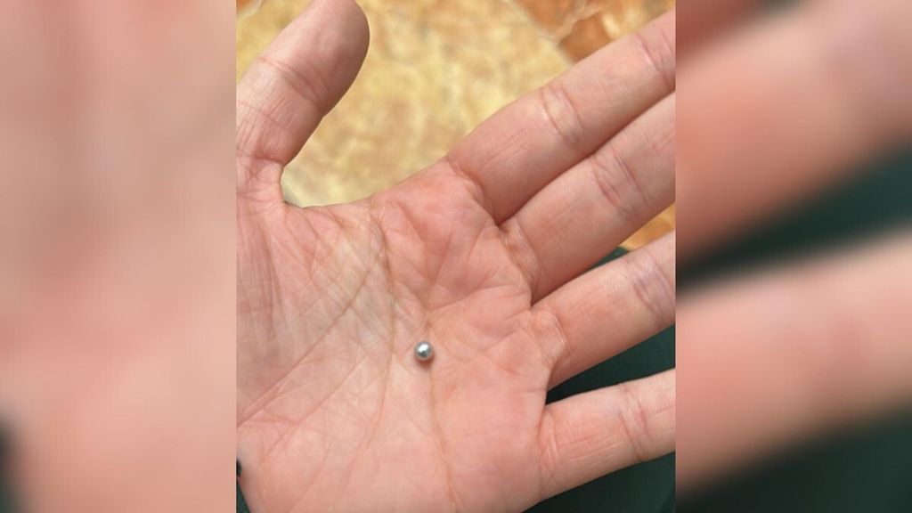 Uno de los perdigones encontrados en la calle