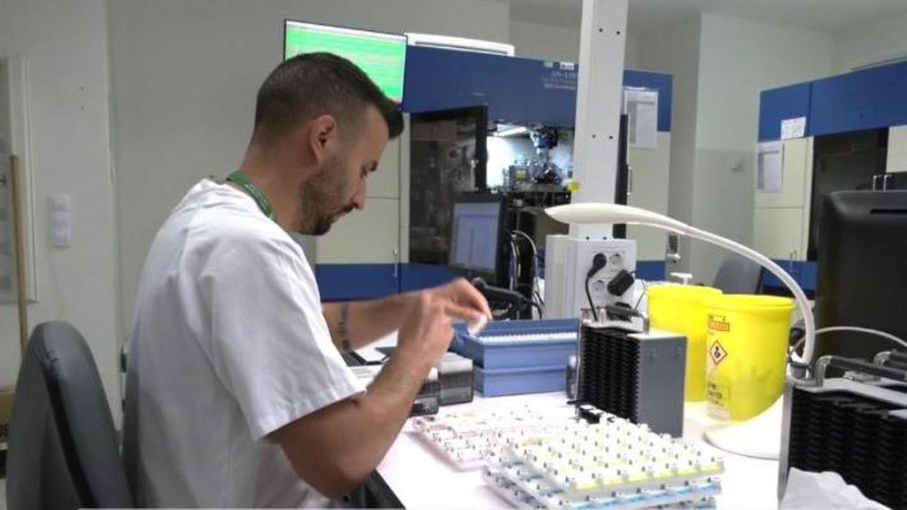 La detección precoz de la bacteria 'H. Pylori' podría reducir hasta en un 75% los casos de cáncer de estómago