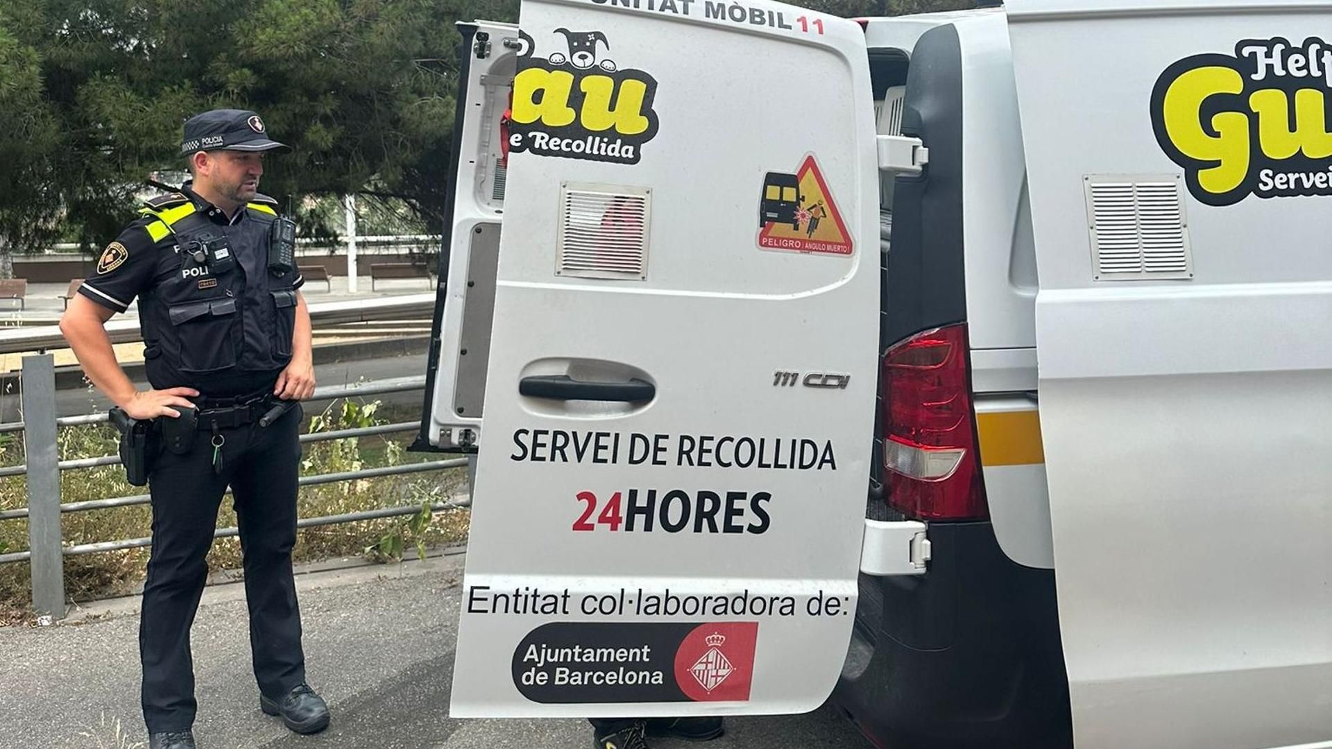 El rescate del animal
