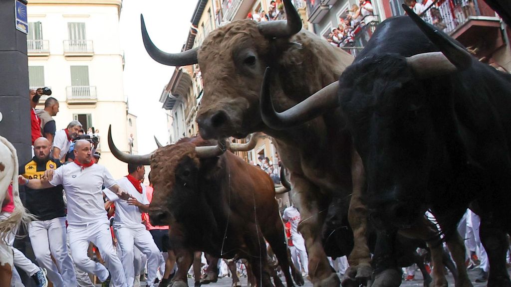 Los rápidos y peligrosos toros de Jandilla, protagonistas del quinto encierro de los Sanfermines