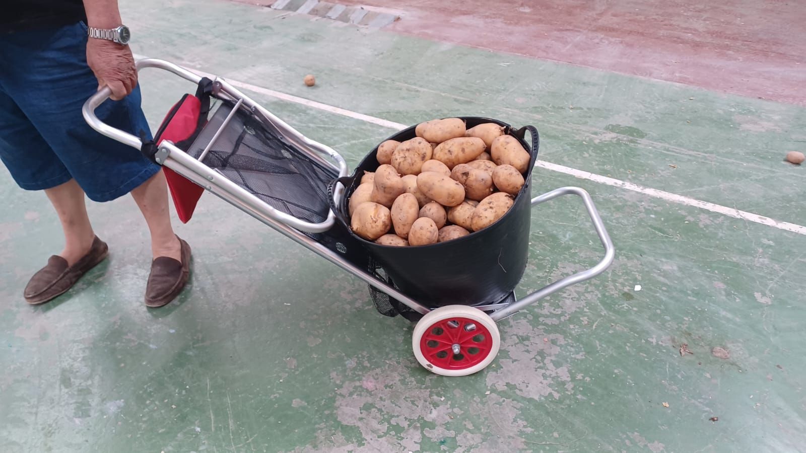 Vecinos de Lebrija recogen patatas gratis