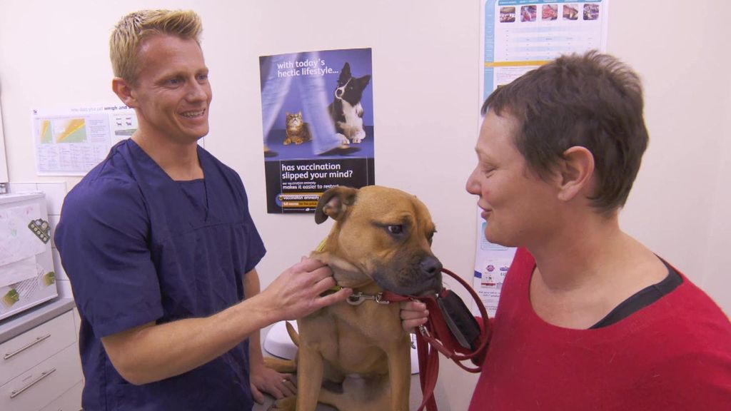 P2 - El pequeño Watson Veterinario en la ciudad Temporada 1 Programa 2
