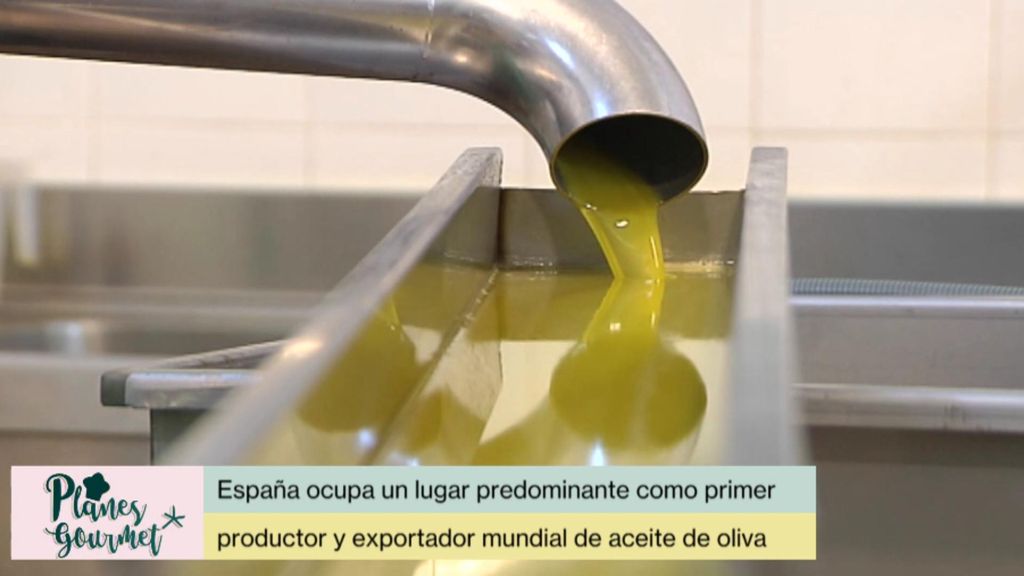 Más de 200 variedades de aceituna nacional Planes Gourmet Temporada 2 Programa 78
