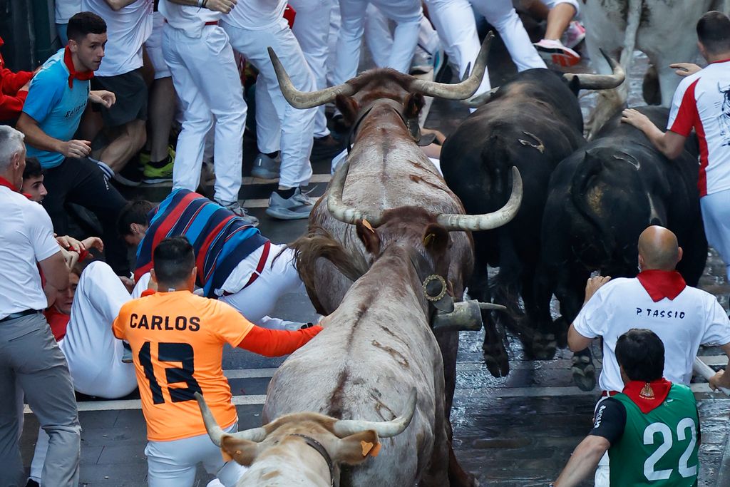 San Fermín: veloz y peligroso encierro de los toros de La Palmosilla, que deja cuatro heridos por asta