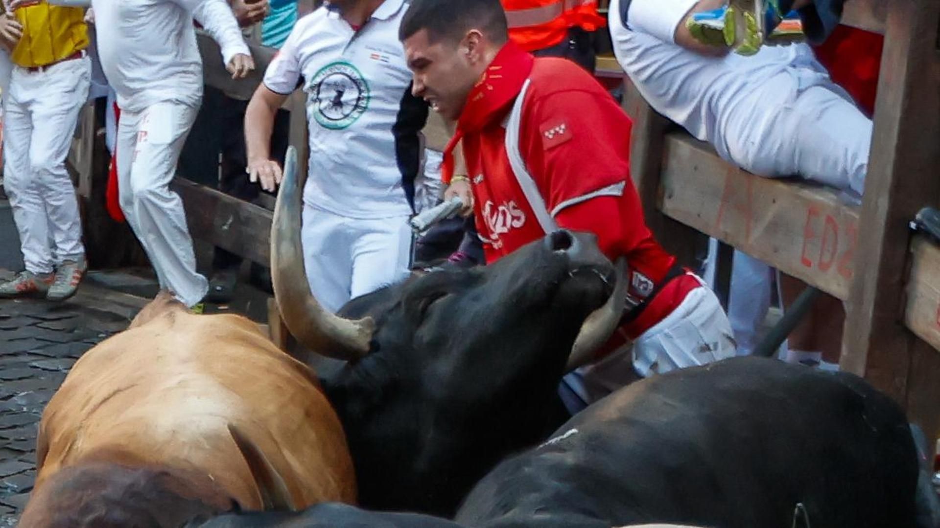 San Fermín: veloz y peligroso encierro de los toros de La Palmosilla, que deja cuatro heridos por asta San Fermín: veloz y peligroso encierro de los toros de La Palmosilla, que deja cuatro heridos por asta