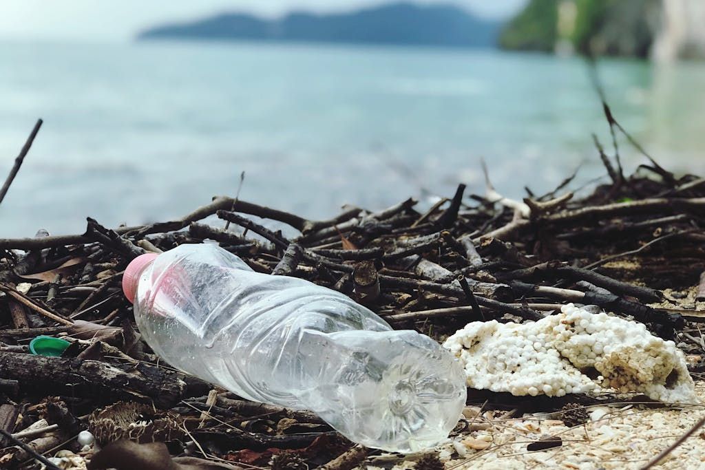El objetivo es reducir la contaminación del plástico