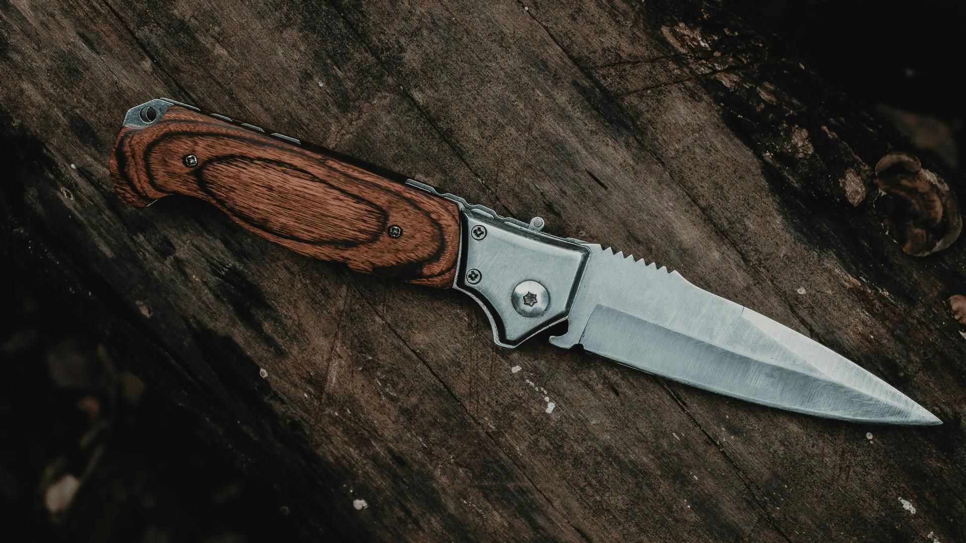 igor bispo sV5JRC3t71M unsplash