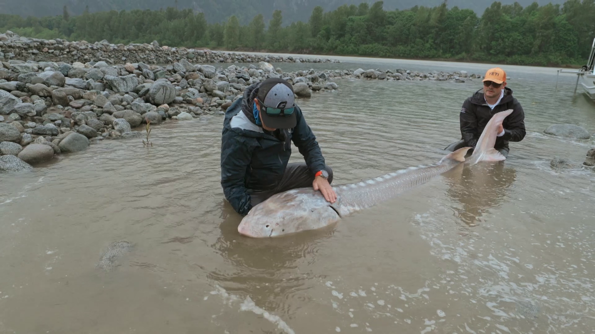 Kike Calleja con un esturión blanco gigante en Canadá