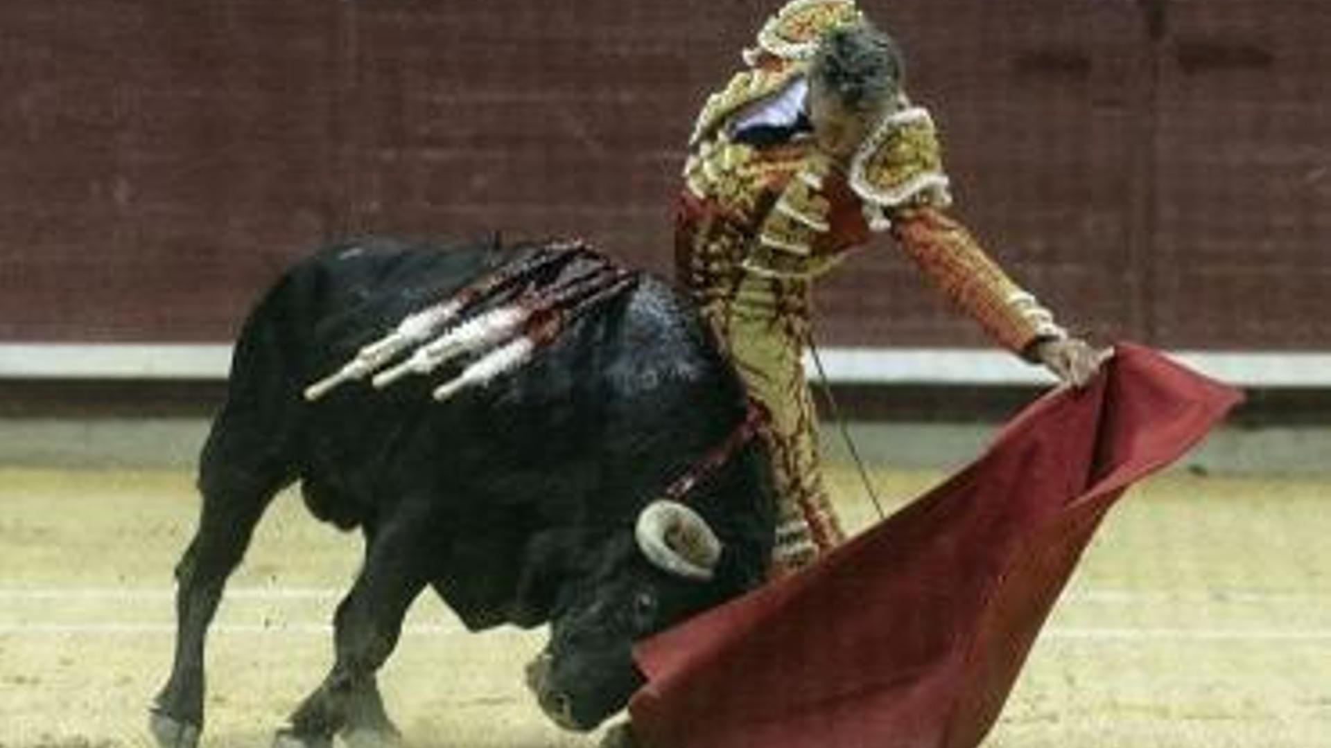 El diestro Manuel Escribano durante una corrida de toros