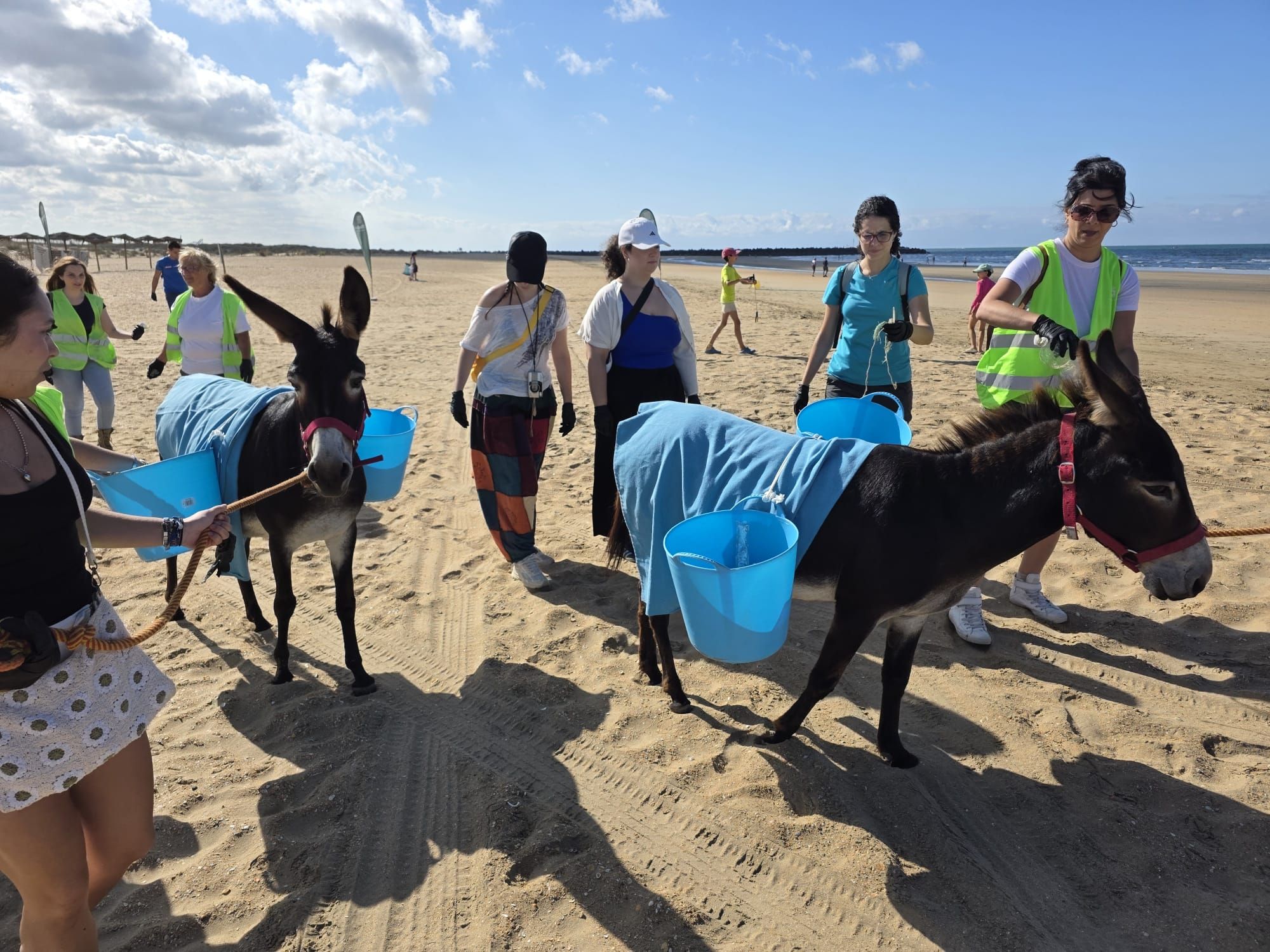 Las dos burritas en un momento de la jornada de limpieza de playas