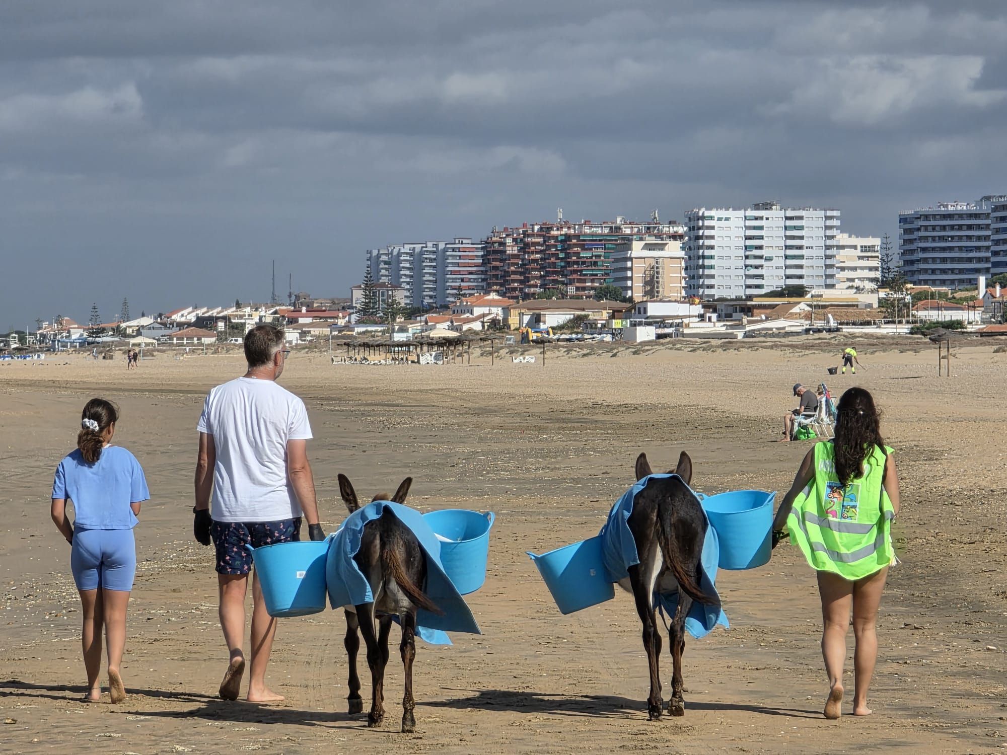 Las dos burritas se pasean por la playa de Punta Umbría