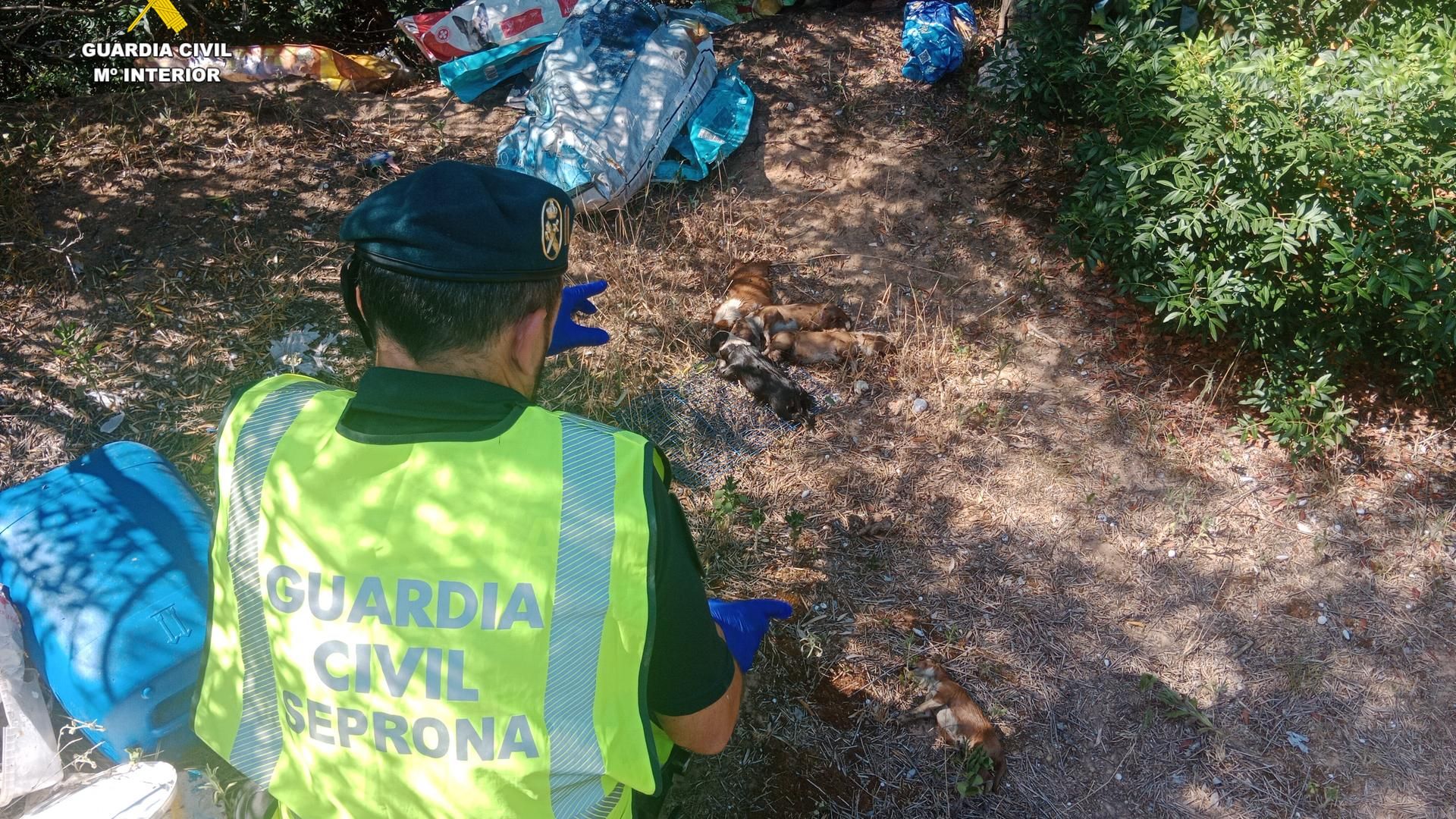 Los cachorros hallados sin vida