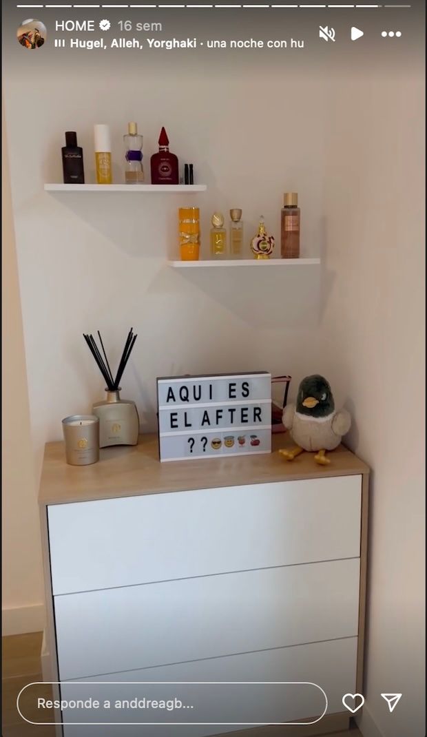 rincon favorito de su habitacion