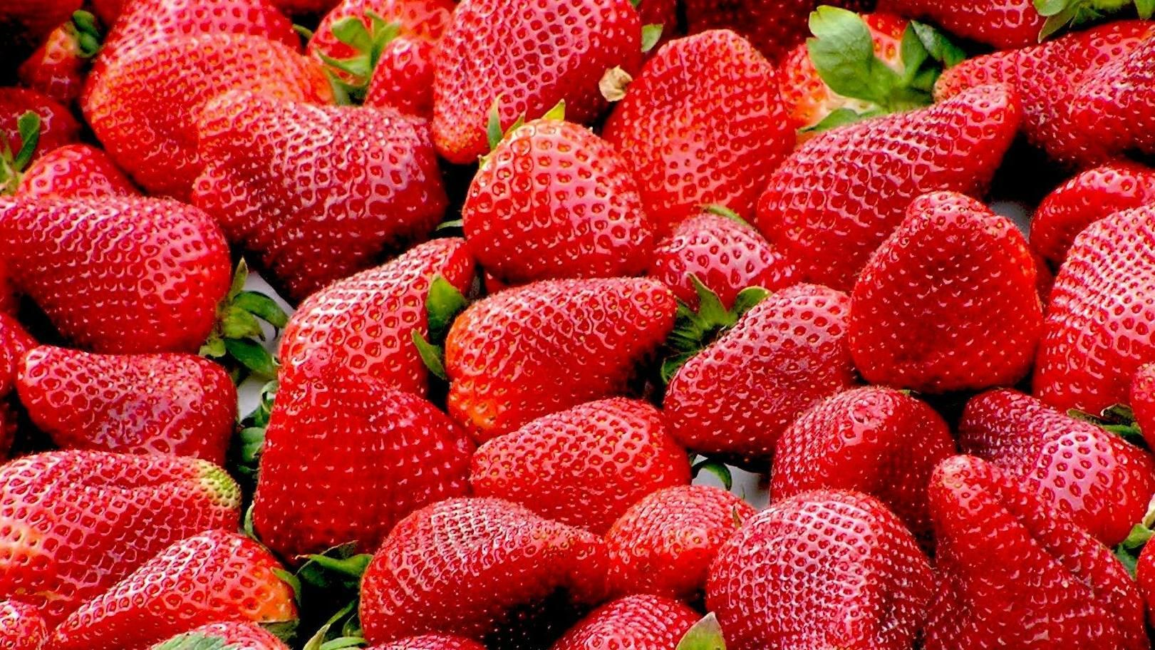 Fresas