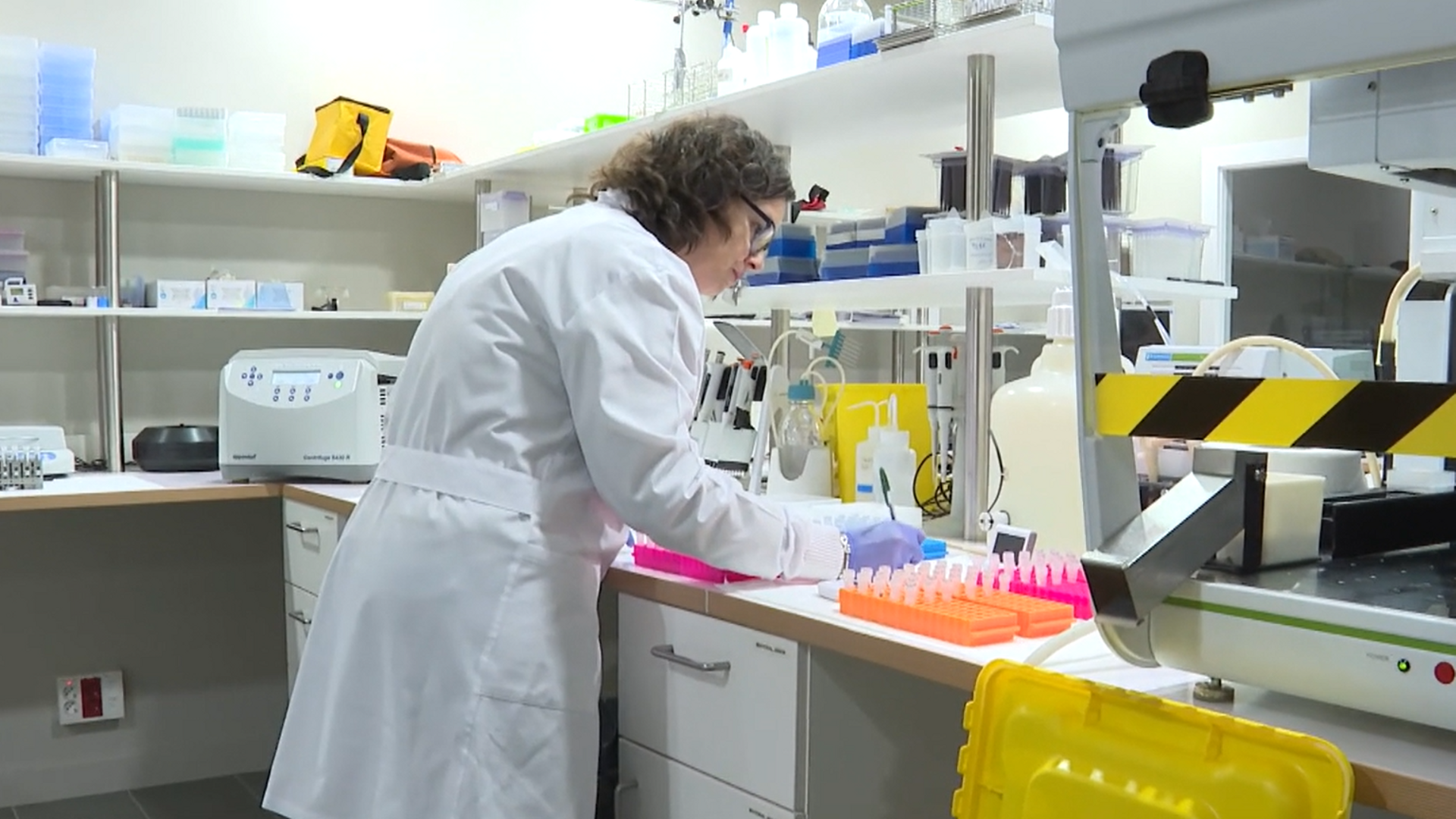 Un mapa molecular para descubrir la cura del Alzheimer o el Párkinson, clave en la búsqueda de tratamientos Un mapa molecular para descubrir la cura del Alzheimer o el Párkinson, clave en la búsqueda de tratamientos