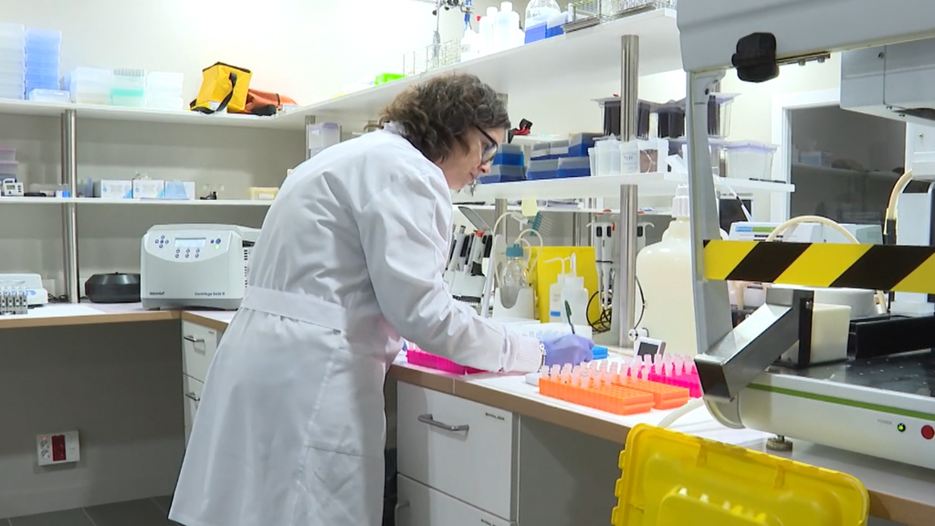 Un mapa molecular para descubrir la cura del Alzheimer o el Párkinson, clave en la búsqueda de tratamientos