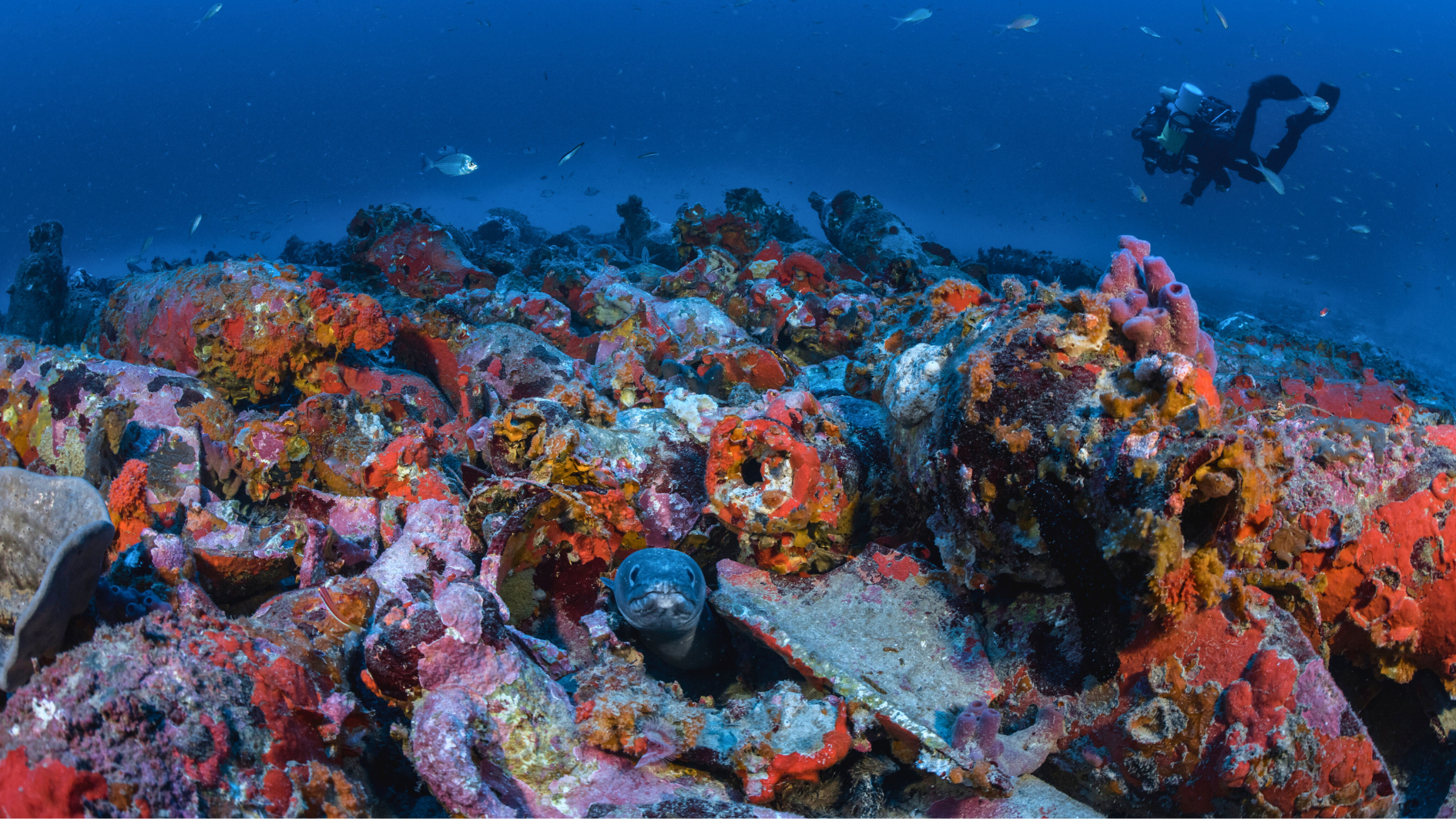 Un buzo, en plena labor de investigación en el fondo del mar