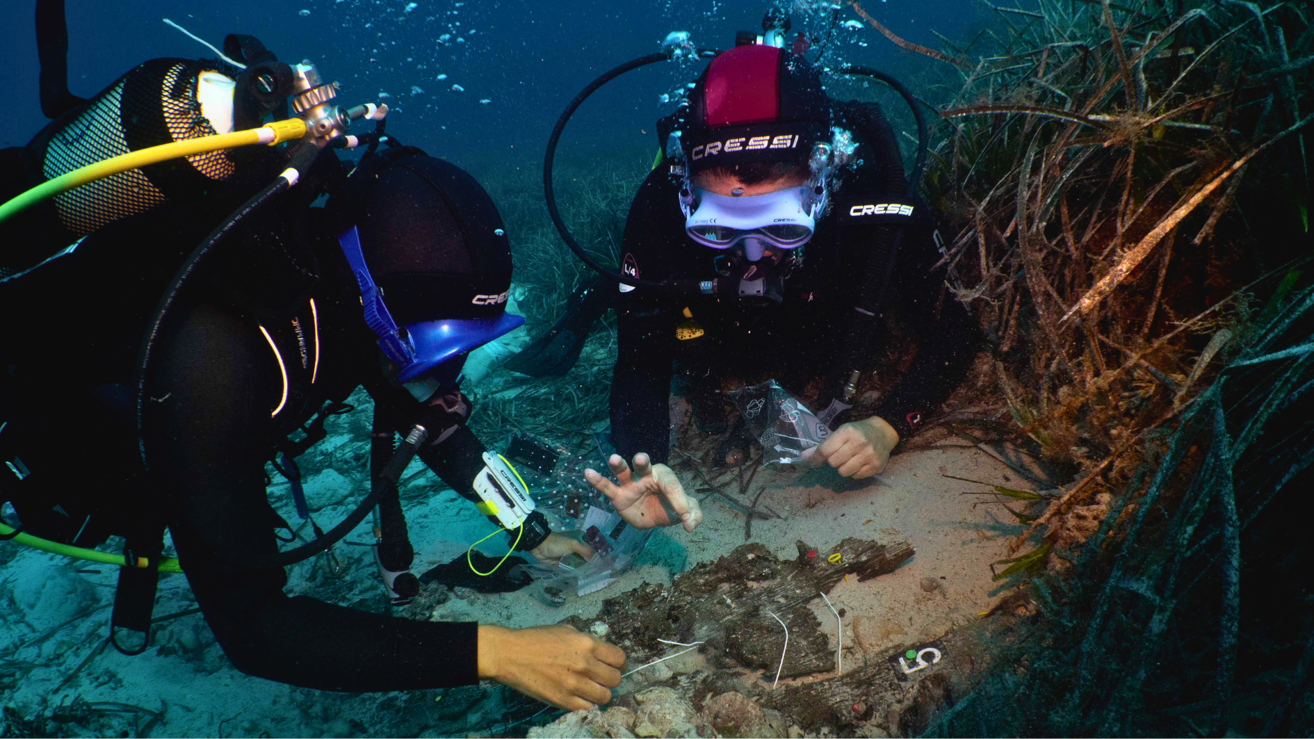 Una inmersión del equipo del IBEAM